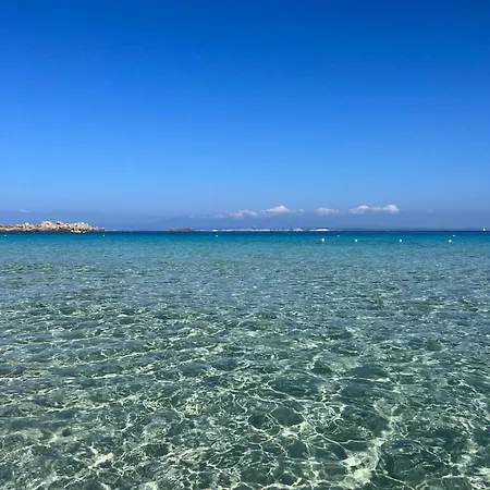 מלון Corallaro סנטה טרזה גאיורה